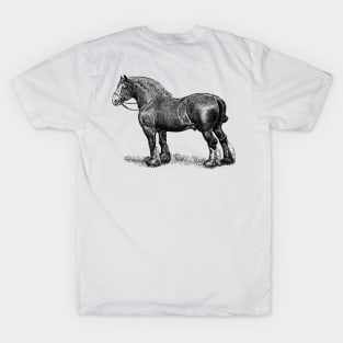 Draft Horse - Black and White Illustration T-Shirt